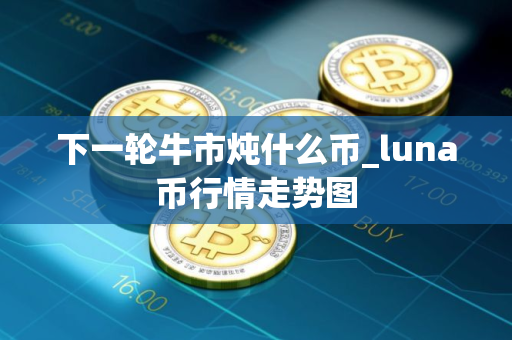 下一轮牛市炖什么币_luna币行情走势图