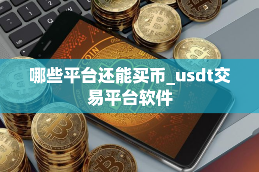 哪些平台还能买币_usdt交易平台软件