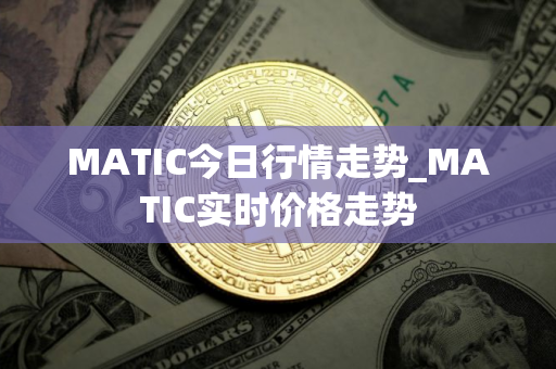 MATIC今日行情走势_MATIC实时价格走势