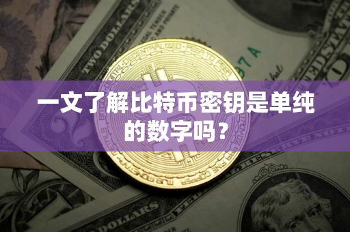 一文了解比特币密钥是单纯的数字吗？