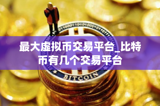 最大虚拟币交易平台_比特币有几个交易平台