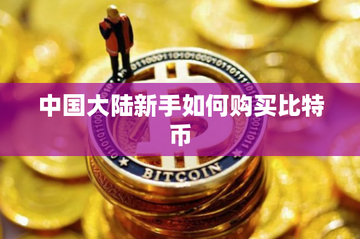 中国大陆新手如何购买比特币