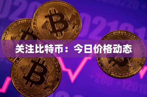 关注比特币：今日价格动态