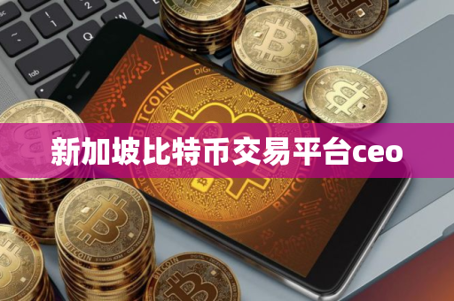 新加坡比特币交易平台ceo