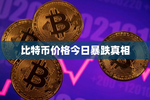比特币价格今日暴跌真相