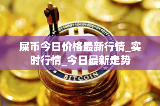 屎币今日价格最新行情_实时行情_今日最新走势