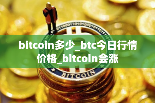 bitcoin多少_btc今日行情价格_bitcoin会涨