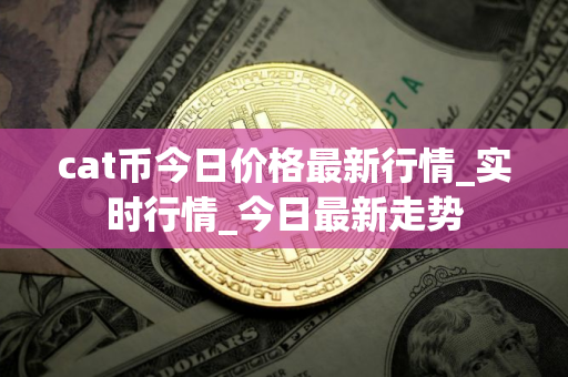 cat币今日价格最新行情_实时行情_今日最新走势