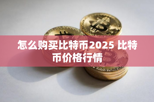 怎么购买比特币2025 比特币价格行情