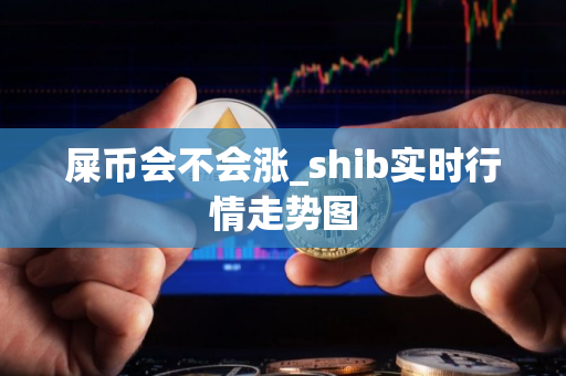 屎币会不会涨_shib实时行情走势图