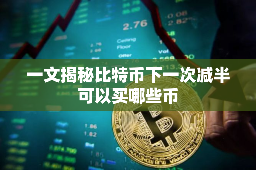 一文揭秘比特币下一次减半可以买哪些币