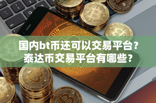 国内bt币还可以交易平台？泰达币交易平台有哪些？
