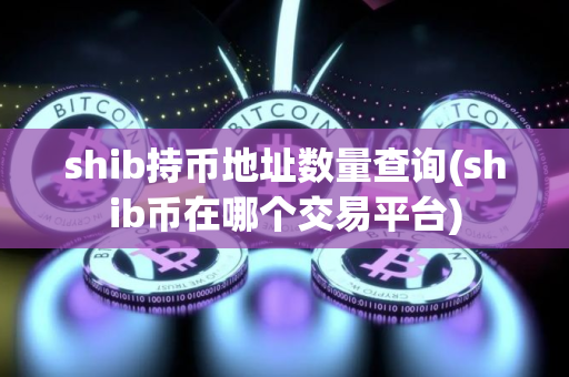 shib持币地址数量查询(shib币在哪个交易平台)