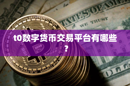 t0数字货币交易平台有哪些 ？