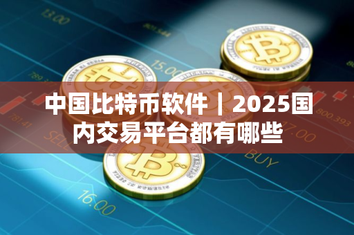中国比特币软件｜2025国内交易平台都有哪些