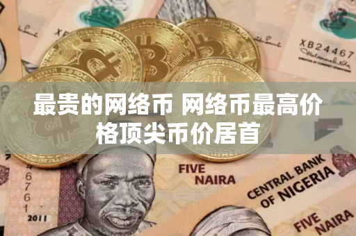最贵的网络币 网络币最高价格顶尖币价居首