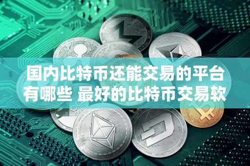 国内比特币还能交易的平台有哪些 最好的比特币交易软件2025