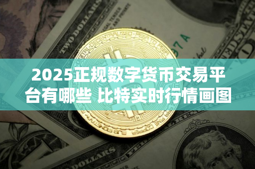 2025正规数字货币交易平台有哪些 比特实时行情画图软件