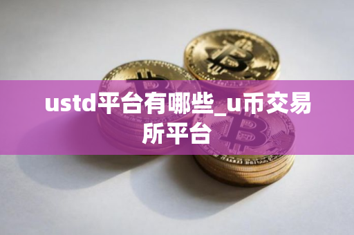 ustd平台有哪些_u币交易所平台