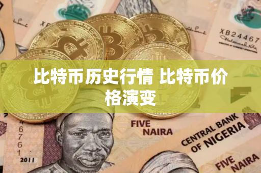 比特币历史行情 比特币价格演变