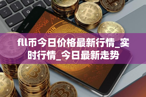 fll币今日价格最新行情_实时行情_今日最新走势