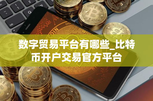 数字贸易平台有哪些_比特币开户交易官方平台