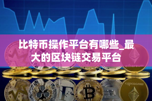 比特币操作平台有哪些_最大的区块链交易平台
