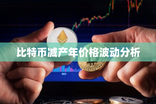 比特币减产年价格波动分析