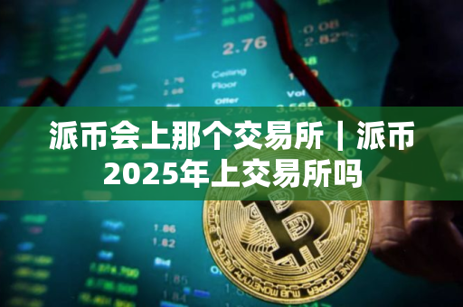 派币会上那个交易所｜派币2025年上交易所吗