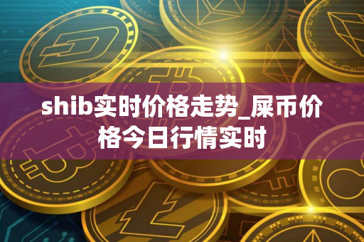 shib实时价格走势_屎币价格今日行情实时