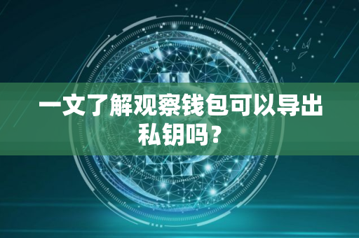 一文了解观察钱包可以导出私钥吗？