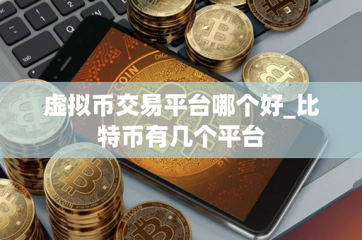 虚拟币交易平台哪个好_比特币有几个平台