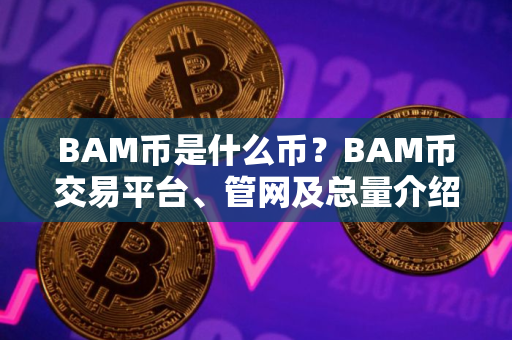 BAM币是什么币？BAM币交易平台、管网及总量介绍