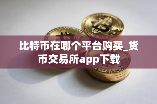 比特币在哪个平台购买_货币交易所app下载