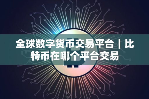 全球数字货币交易平台｜比特币在哪个平台交易