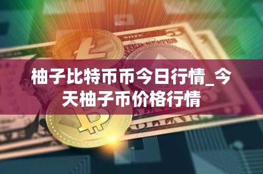 柚子比特币币今日行情_今天柚子币价格行情