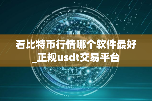 看比特币行情哪个软件最好_正规usdt交易平台