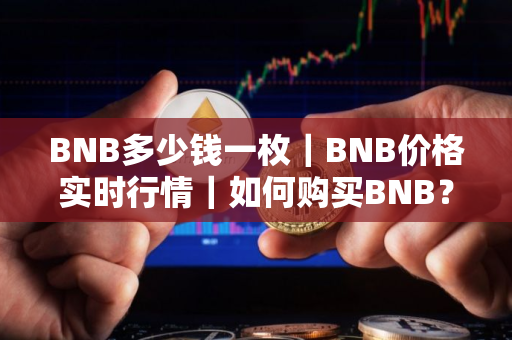 BNB多少钱一枚｜BNB价格实时行情｜如何购买BNB？