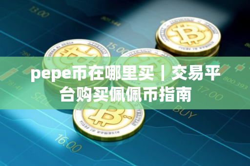pepe币在哪里买｜交易平台购买佩佩币指南