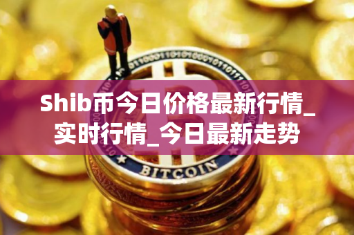 Shib币今日价格最新行情_实时行情_今日最新走势