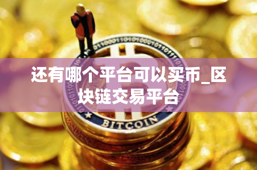 还有哪个平台可以买币_区块链交易平台