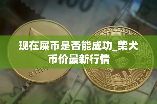 现在屎币是否能成功_柴犬币价最新行情 现在屎币是否能成功_柴犬币价最新行情