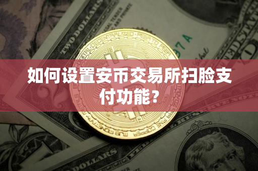 如何设置安币交易所扫脸支付功能？