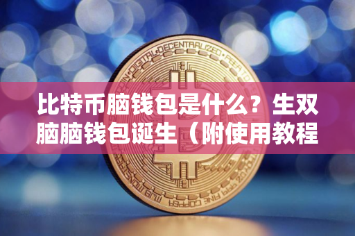 比特币脑钱包是什么？生双脑脑钱包诞生（附使用教程）