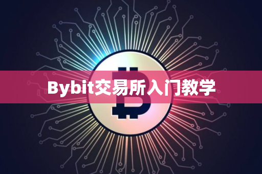 Bybit交易所入门教学