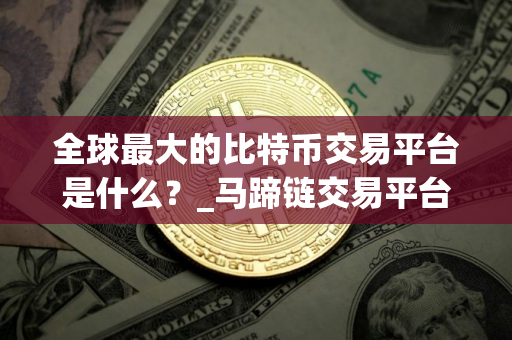 全球最大的比特币交易平台是什么？_马蹄链交易平台