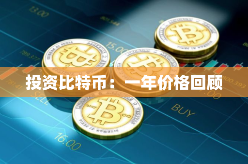 投资比特币：一年价格回顾