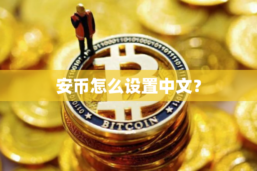 安币怎么设置中文？