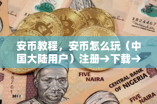 安币教程，安币怎么玩（中国大陆用户）注册→下载→USDT买币→交易→提现
