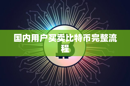 国内用户买卖比特币完整流程